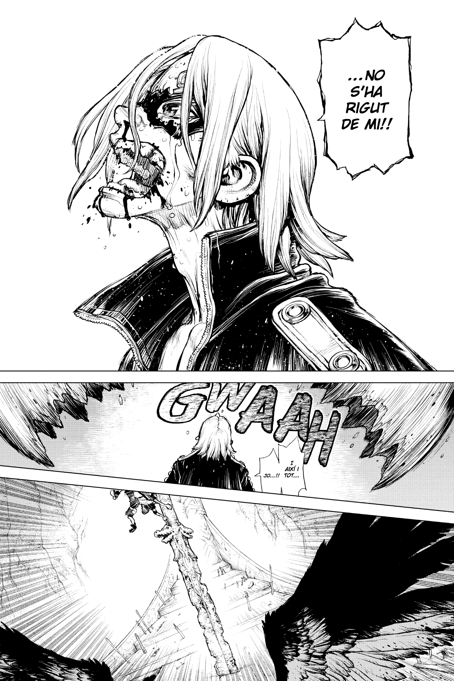 One Piece: Ace’s Story—The Manga La formació dels Pirates Spade 第25页
