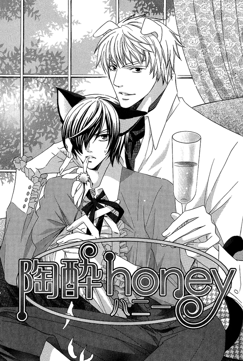 Neko no Yomeiri Vol. 1 Ch. 2 第3页