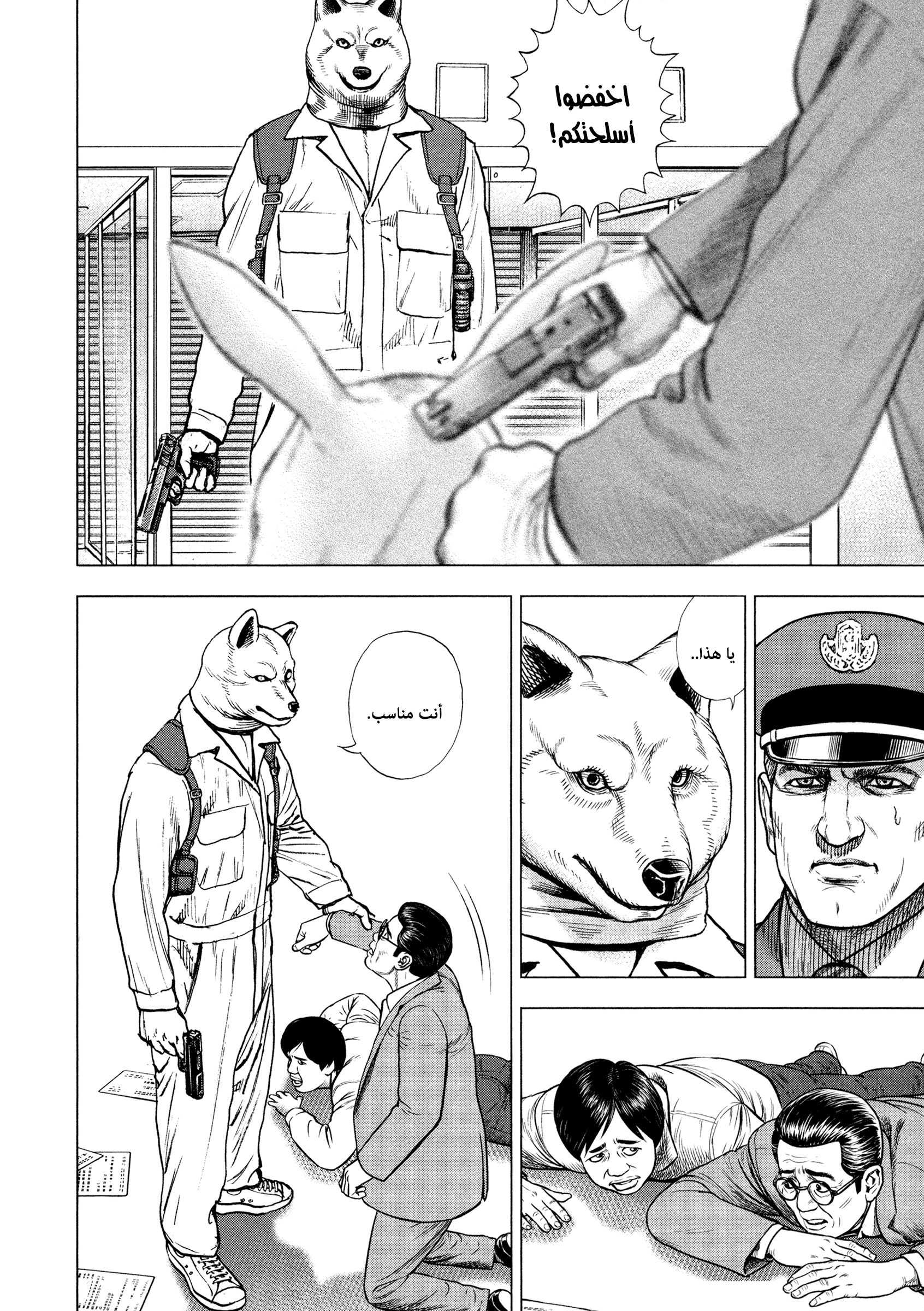 ZIG زِق 第27页