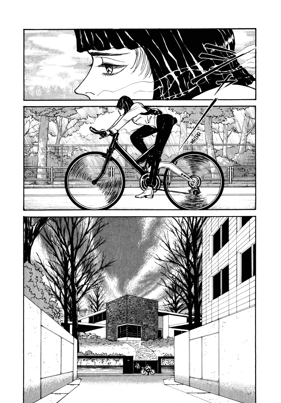 Kilico Family 第3页