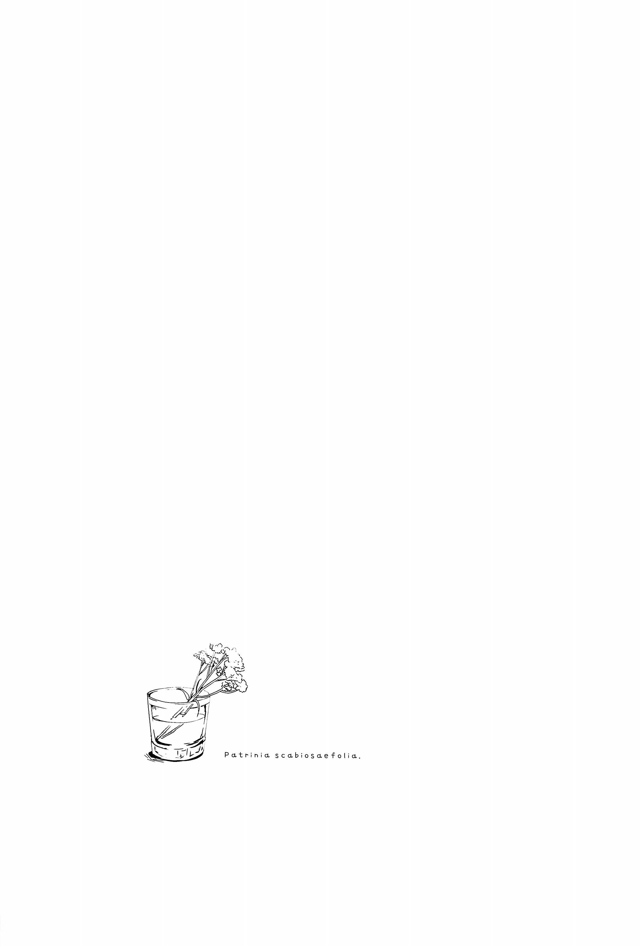 Love Live! - NicoMaki Compilation (Doujinshi) Oneshot 第32页