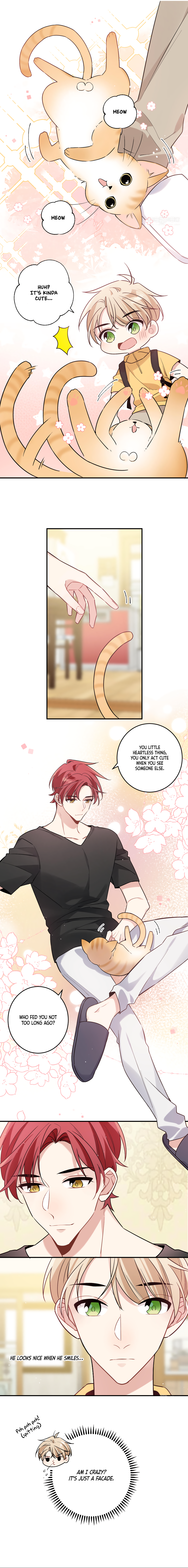 What to Do if My Cotenant Is My Love-Rival? Meow? 第6页