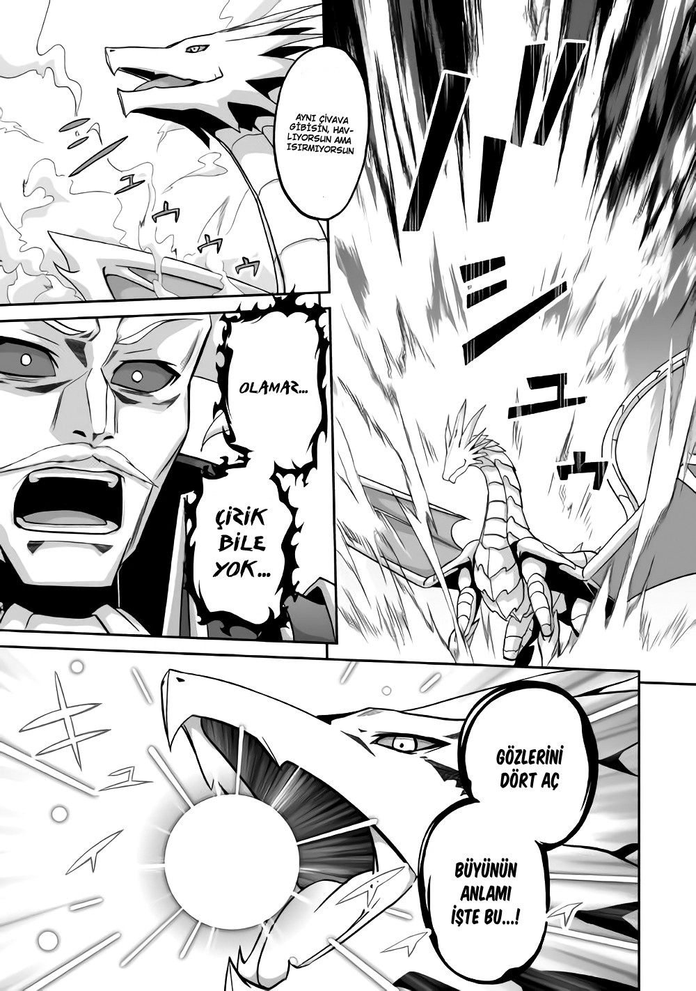 The Reincarnated Evil Dragon Vol. 1 Ch. 2 第12页