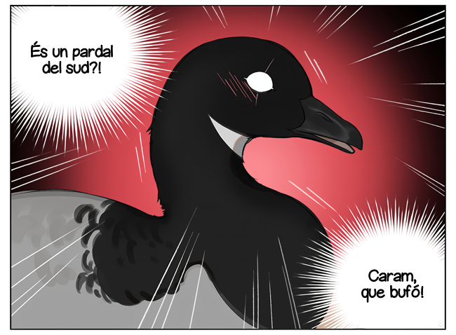 Southern Bird and Northern Bird L’ocell del nord i l’ocell del sud 第5页