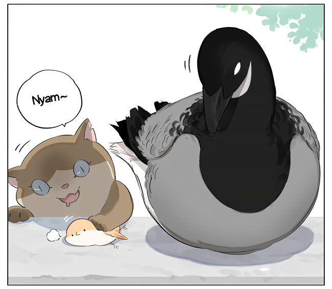 Southern Bird and Northern Bird L’ocell del nord i l’ocell del sud 第6页