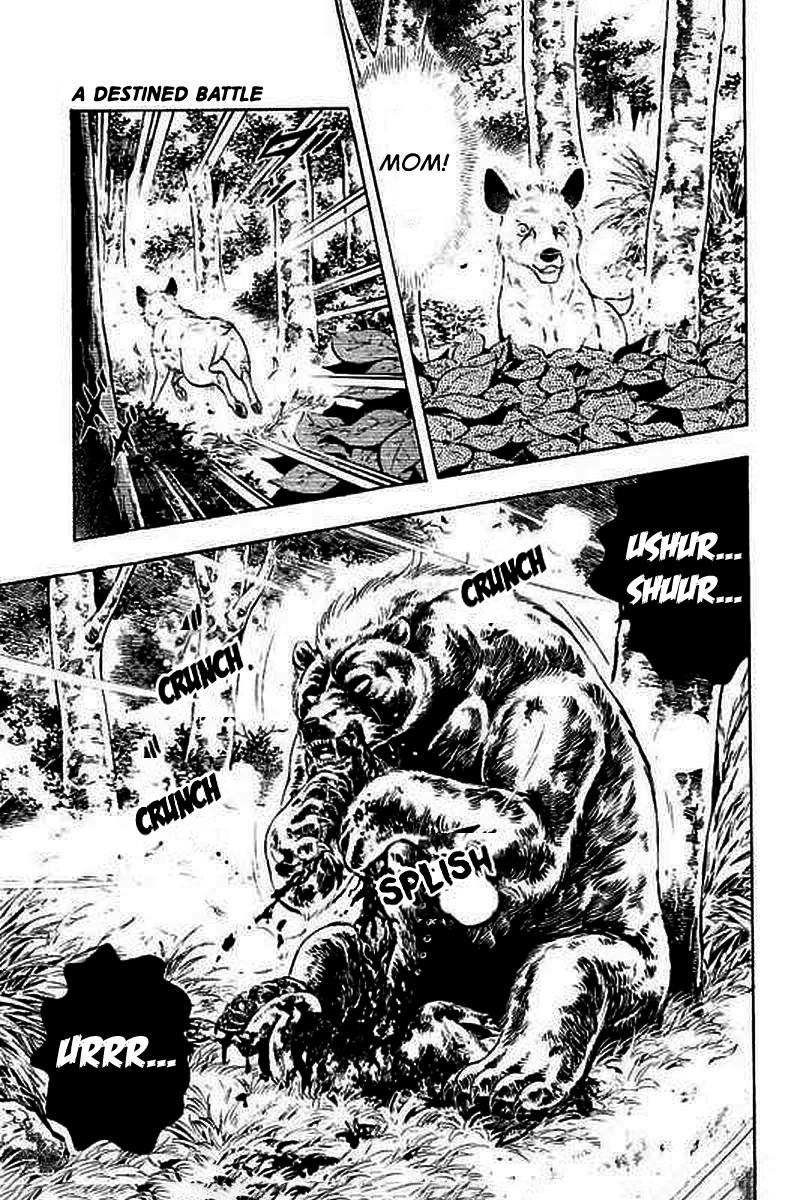Ginga: The Last Wars A Destined Battle 第14页