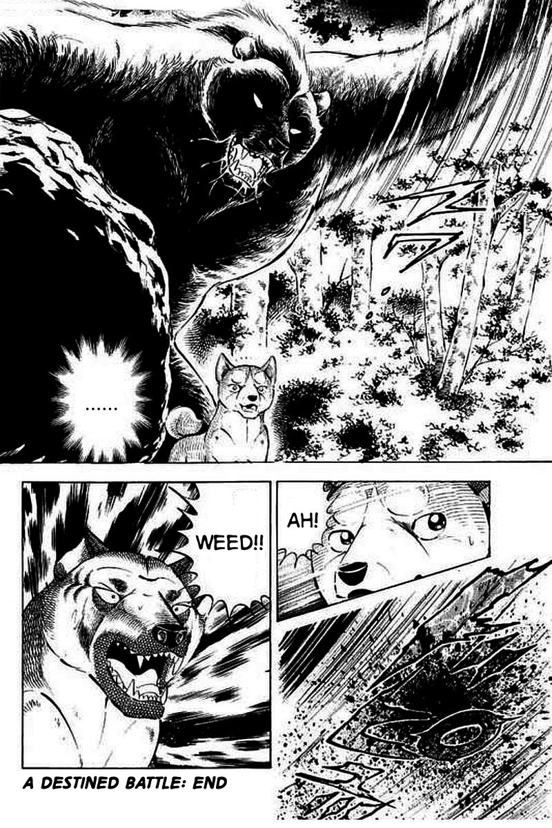 Ginga: The Last Wars A Destined Battle 第32页