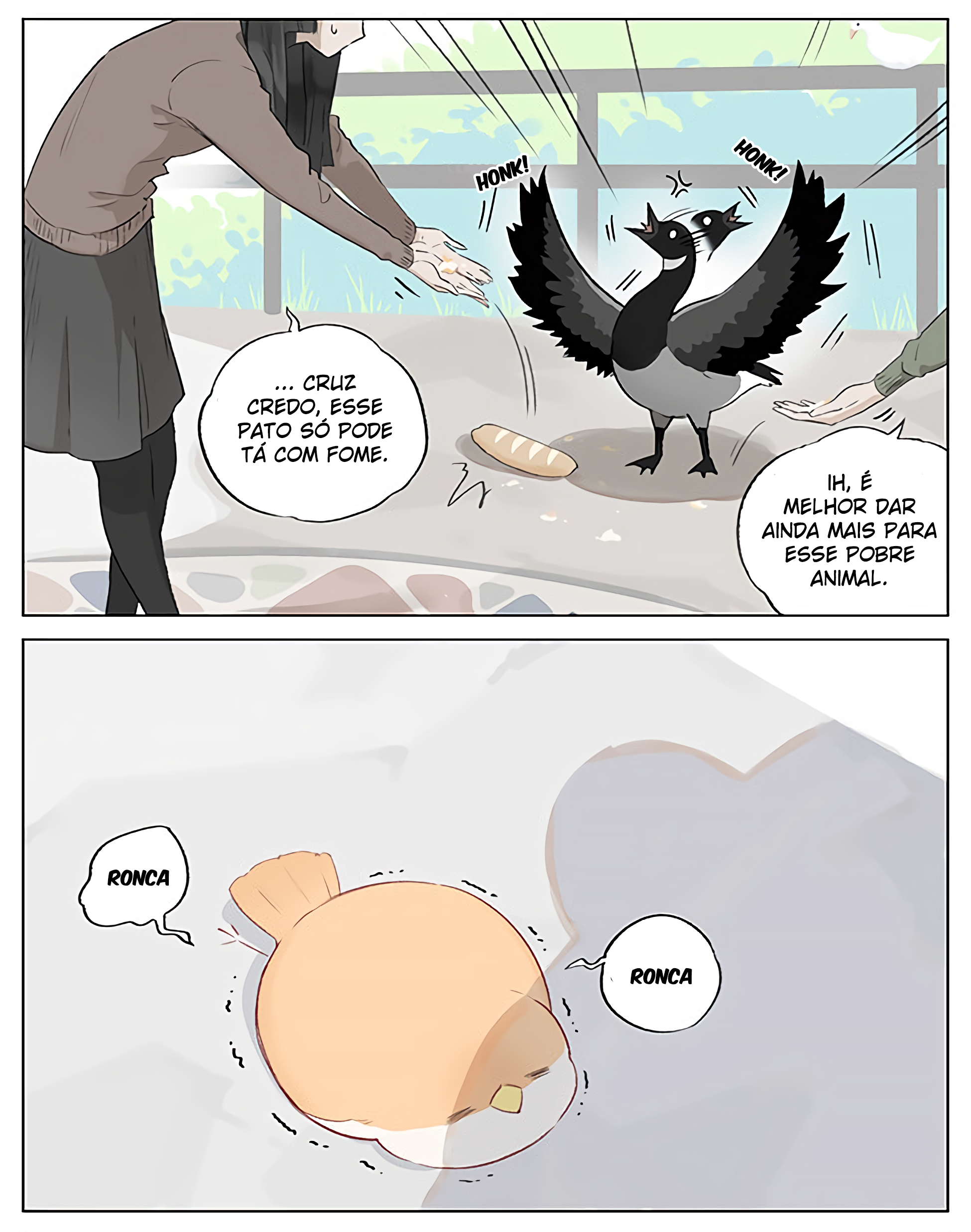 Southern Bird and Northern Bird Com fome 第6页