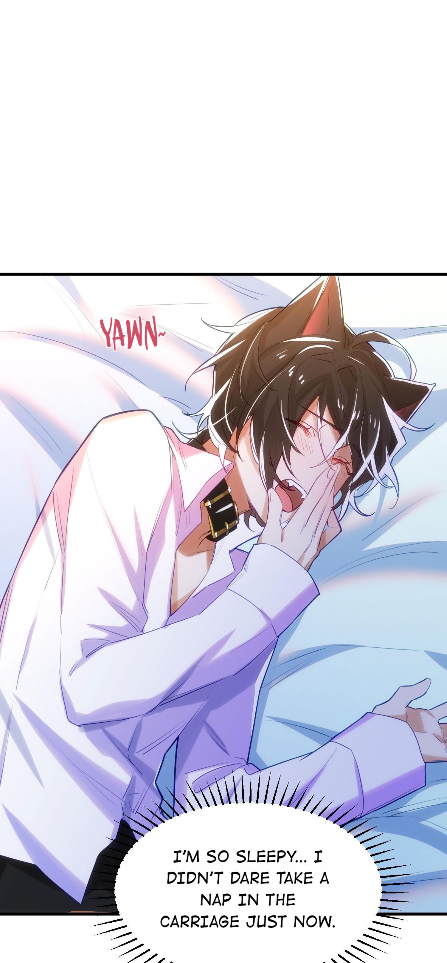 The Wolf Marshal's Double Doting Mate 第29页
