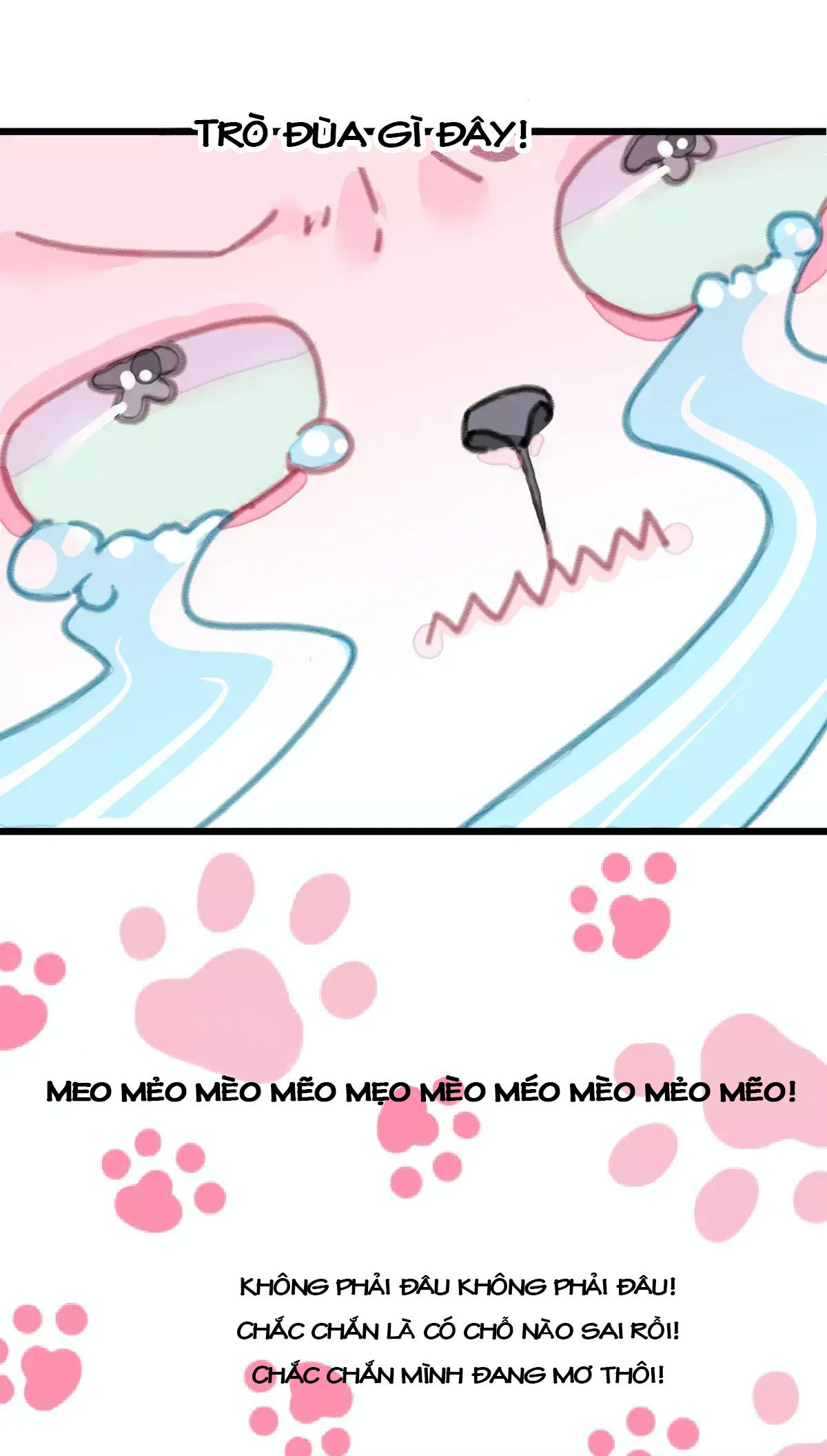 A Cat's World Bé thú cưng trên trời rơi xuống 第12页