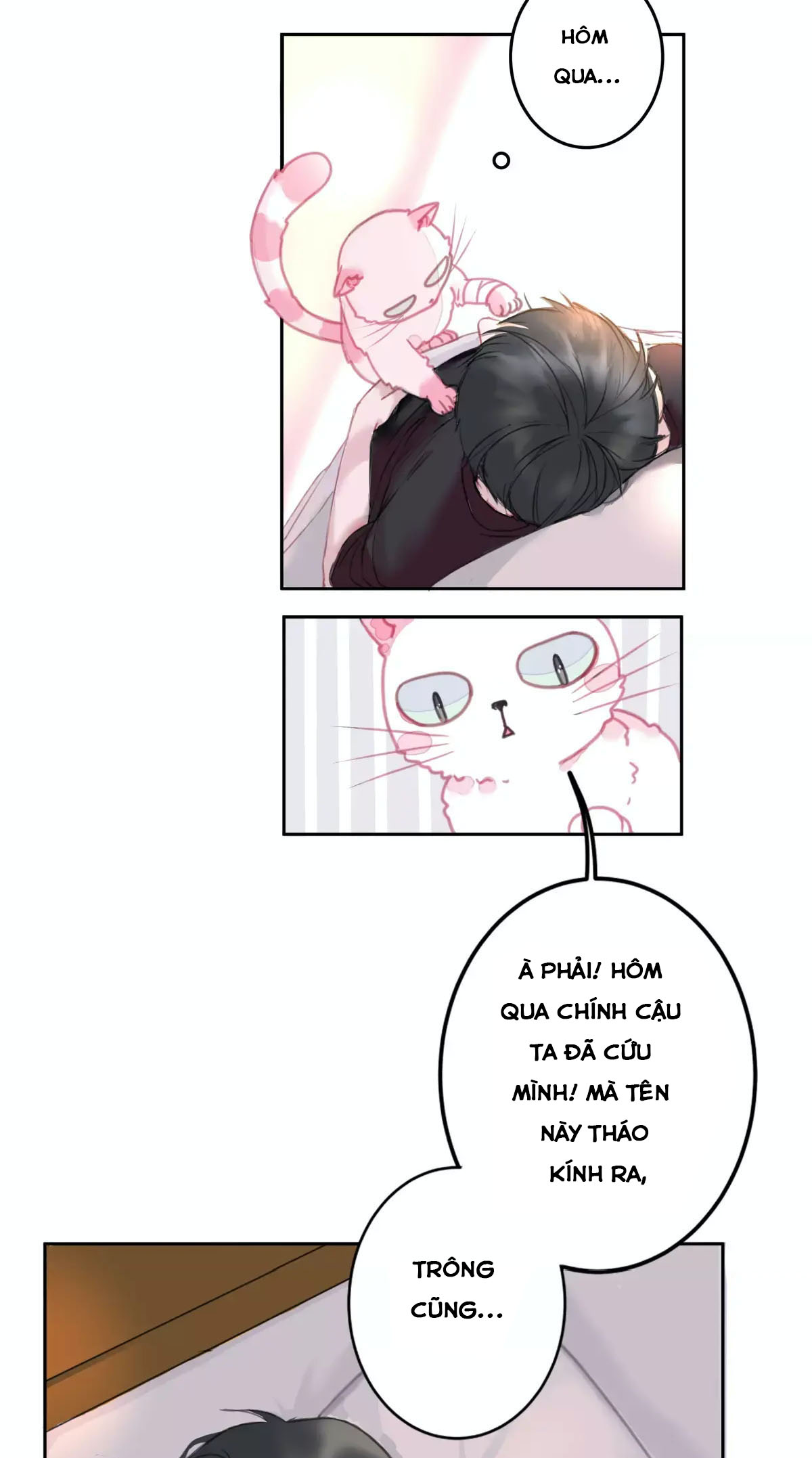 A Cat's World Bé thú cưng trên trời rơi xuống 第17页