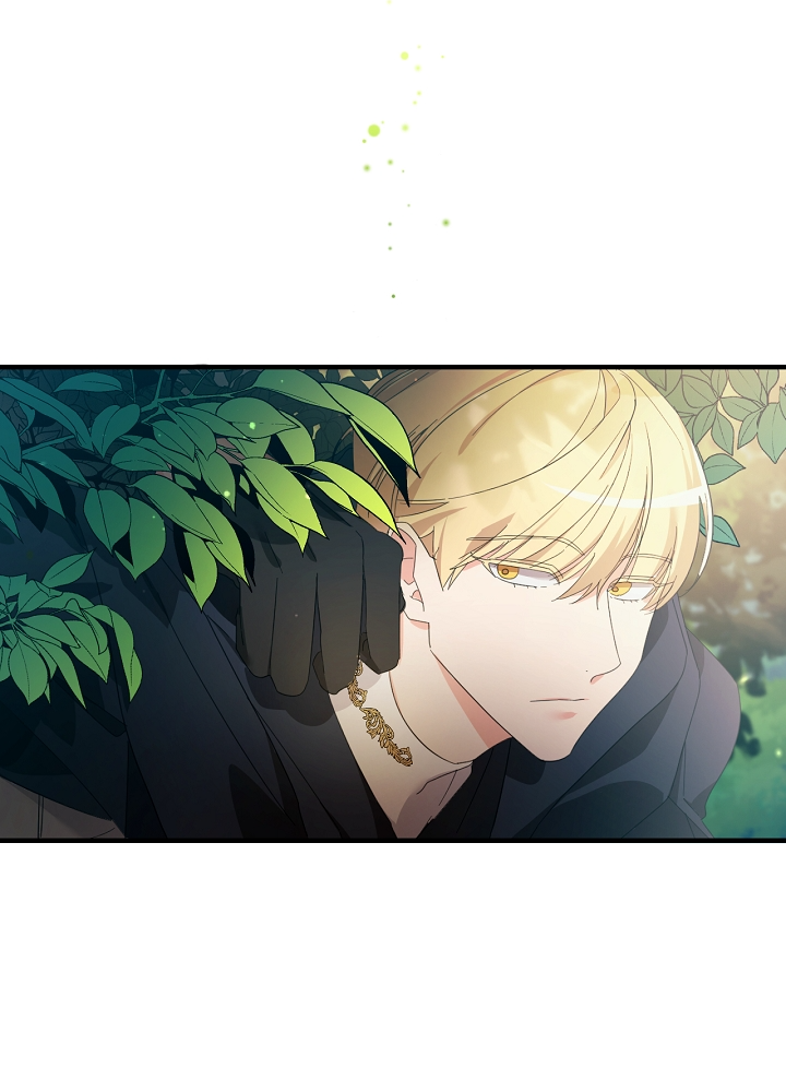 The Villainess's Dazzling Debut Vol. 1 Ch. 3 第11页