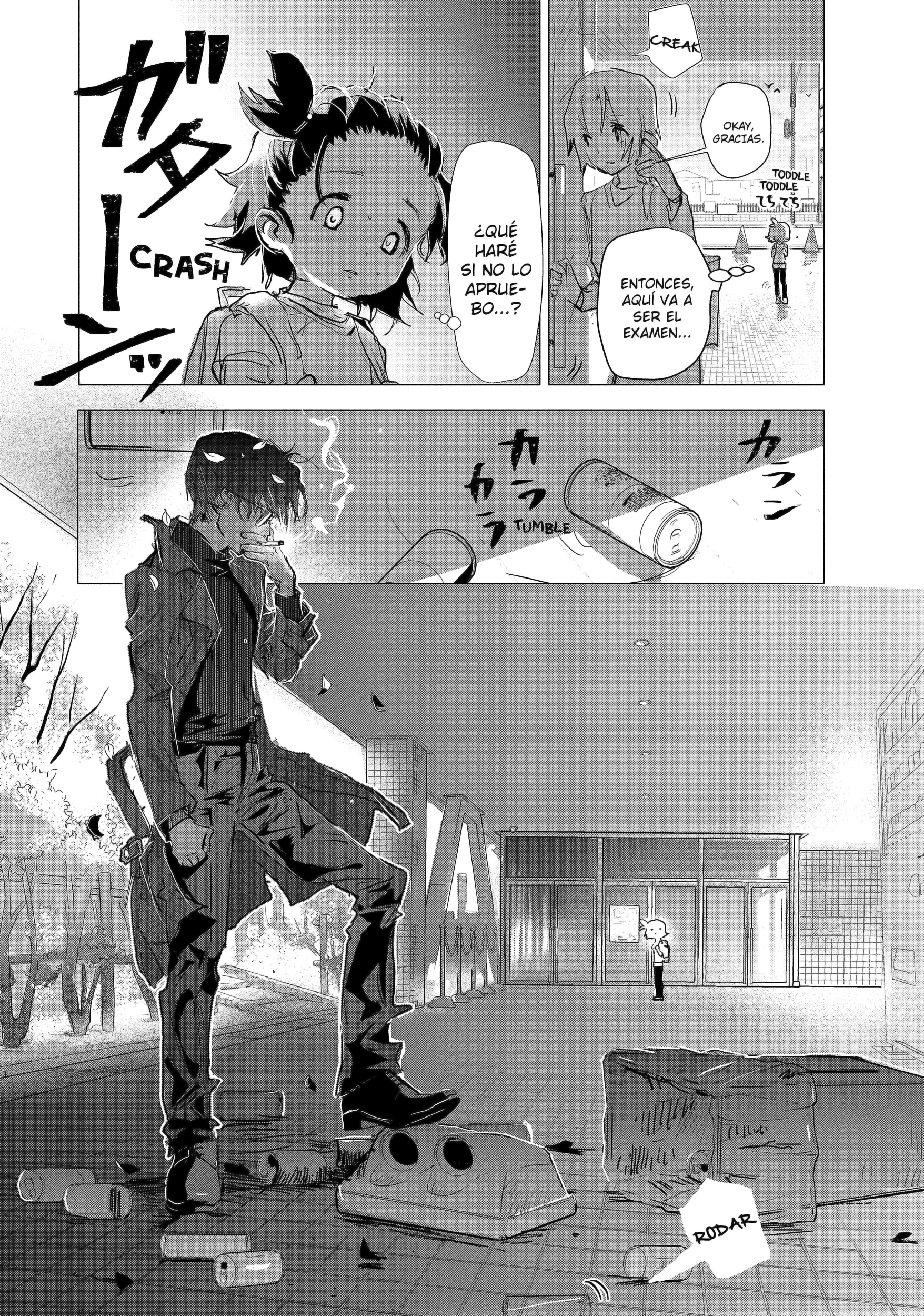 Medalist Examen de insignia preliminar 第11页