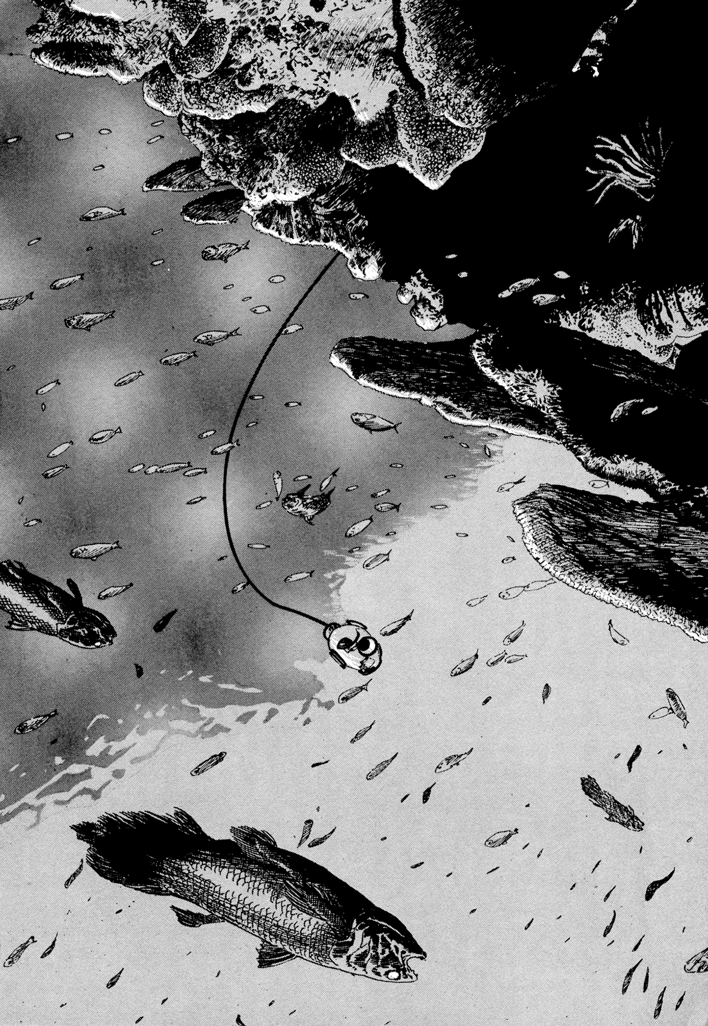 The Blue Hole Gateway to Another World 第15页
