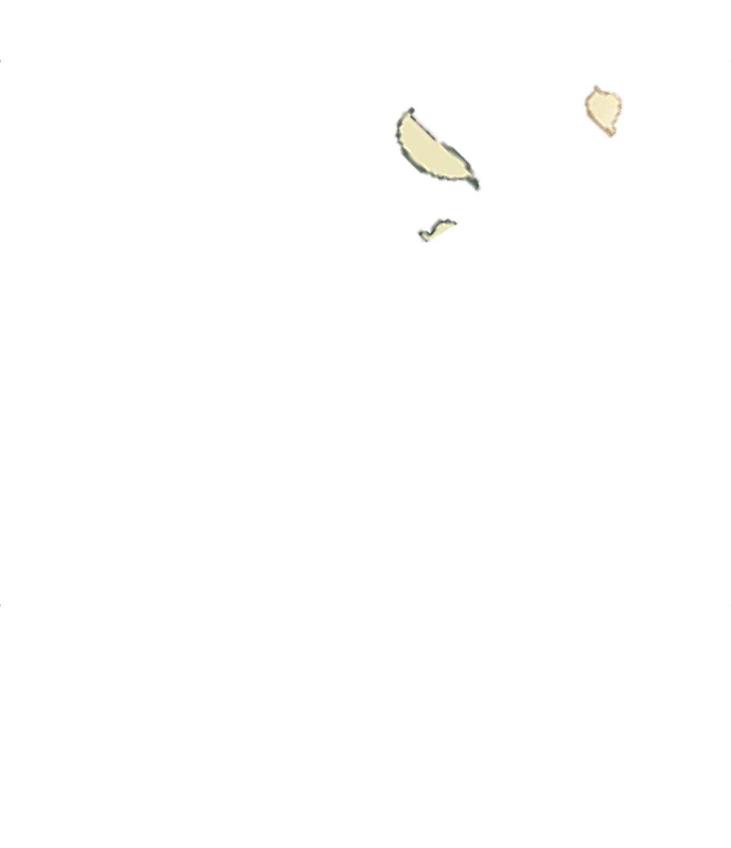 Sword's Edge You Have Beautiful Fingers 第42页