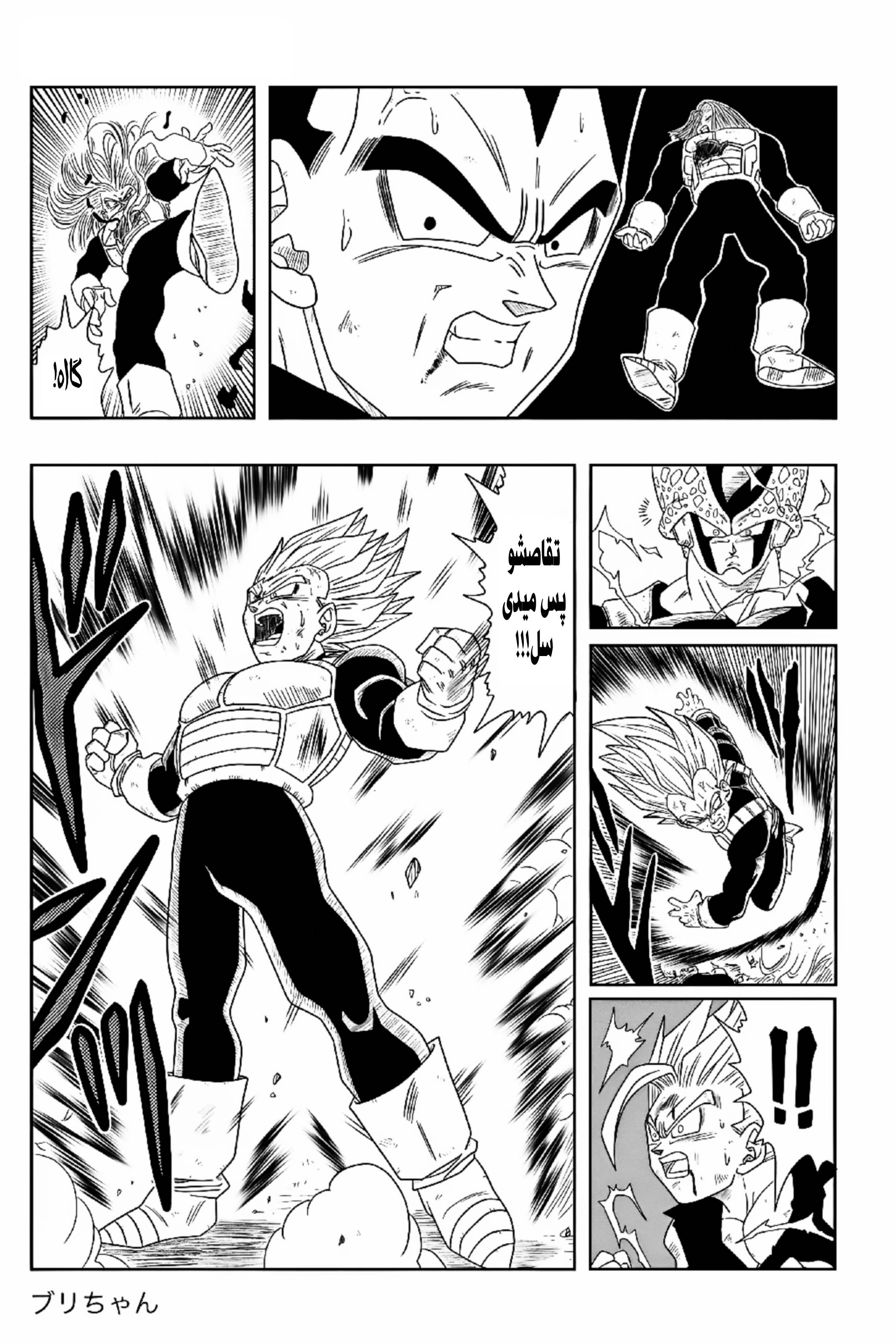 Dragon Ball - New Hope شکستی تاریک 第13页