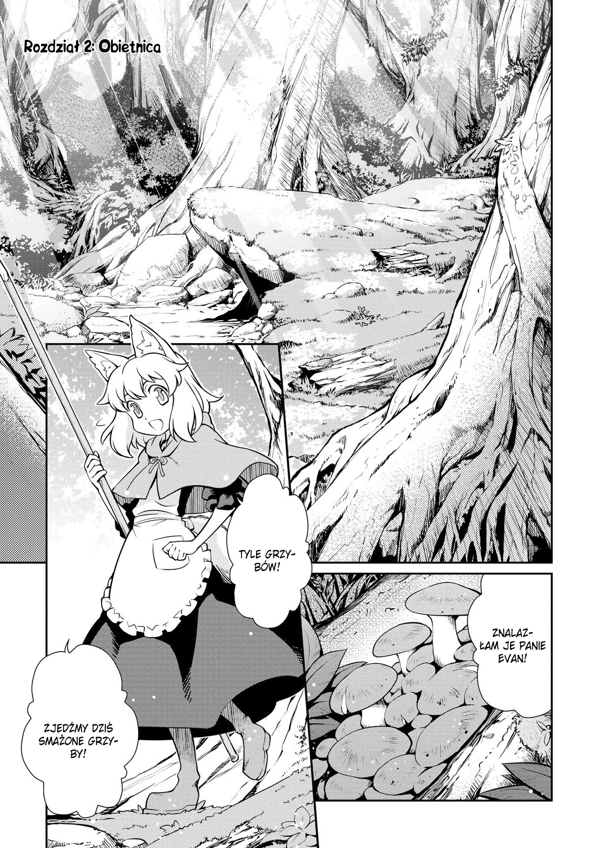 Carve the Different World with Control Magic! Obietnica 第2页