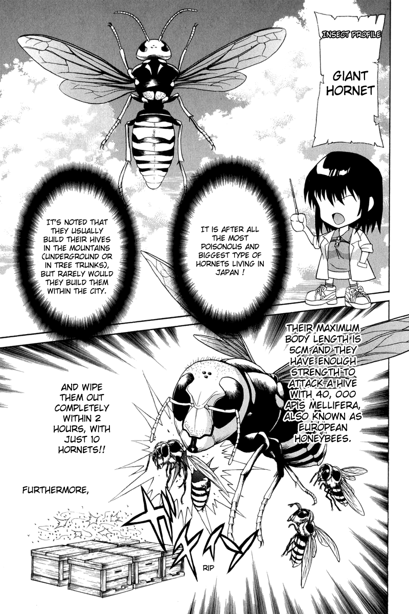 Vector Case File - Inaho no Konchuuki Killer Bee 第11页