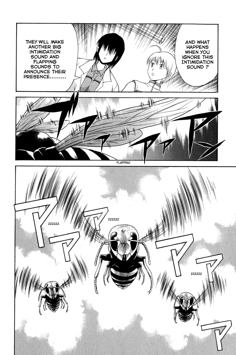 Vector Case File - Inaho no Konchuuki Killer Bee 第20页