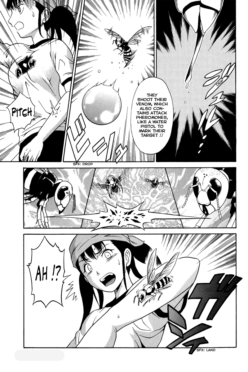 Vector Case File - Inaho no Konchuuki Killer Bee 第23页