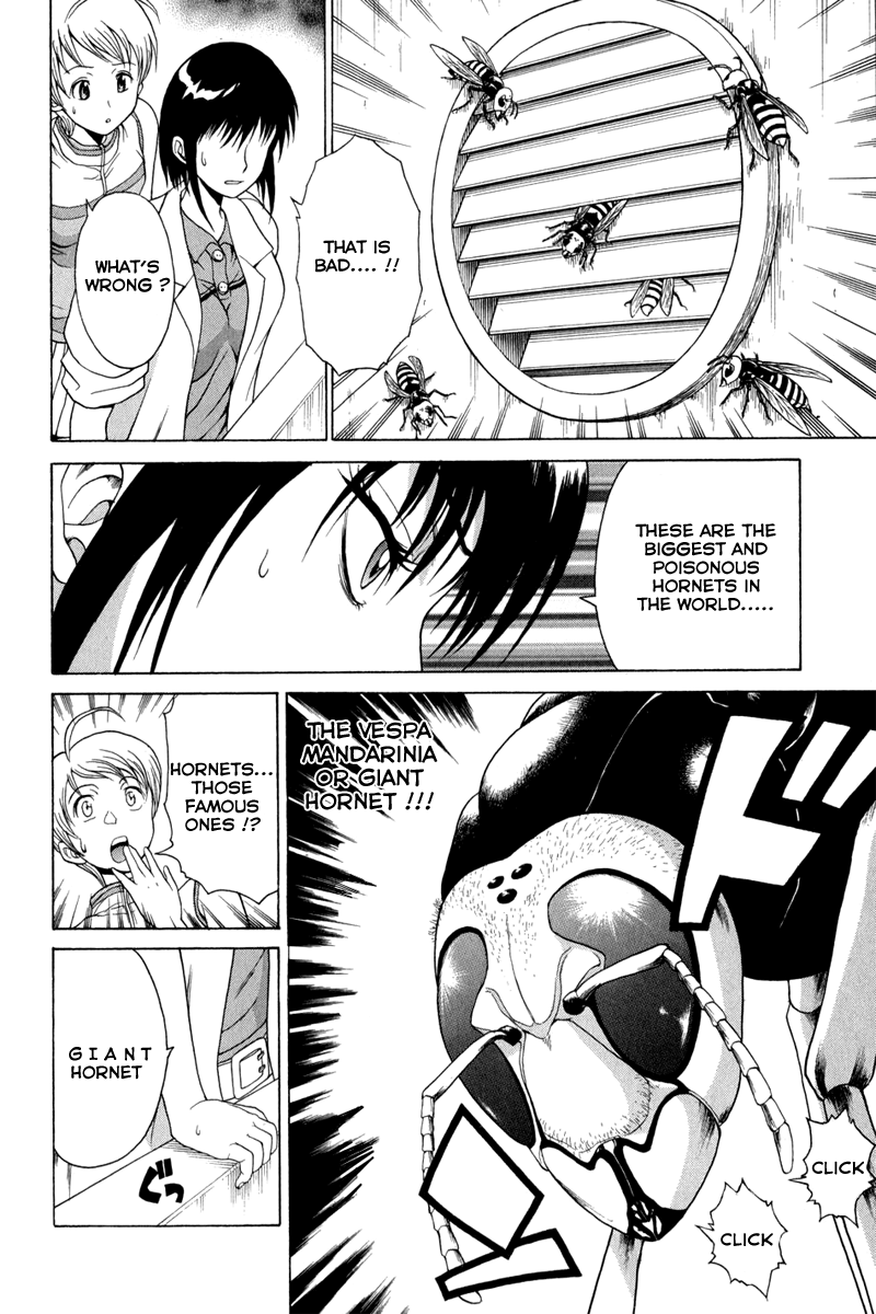 Vector Case File - Inaho no Konchuuki Killer Bee 第10页
