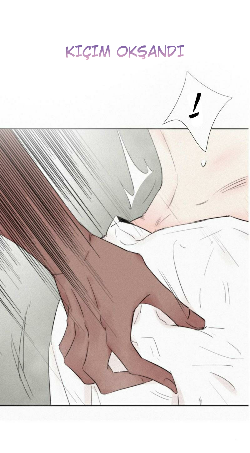 Counterattack Through Pregnancy Prolog 第19页