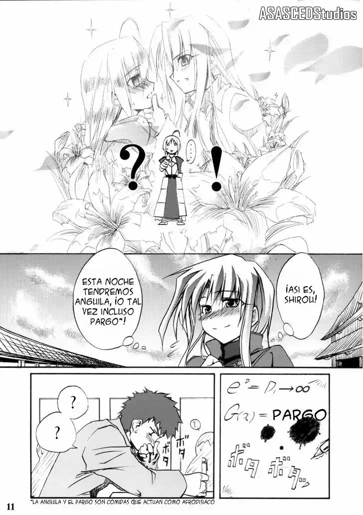 Fate/stay night - SWORD DANCERS (Doujinshi) Vol. 1 Ch. 1 第12页