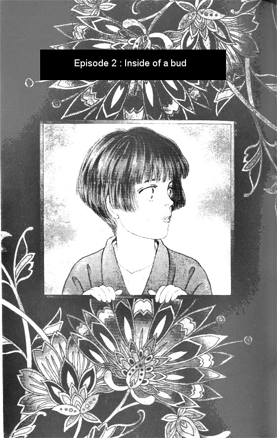 For the Sake of the Rose Inside of a Bud 第1页