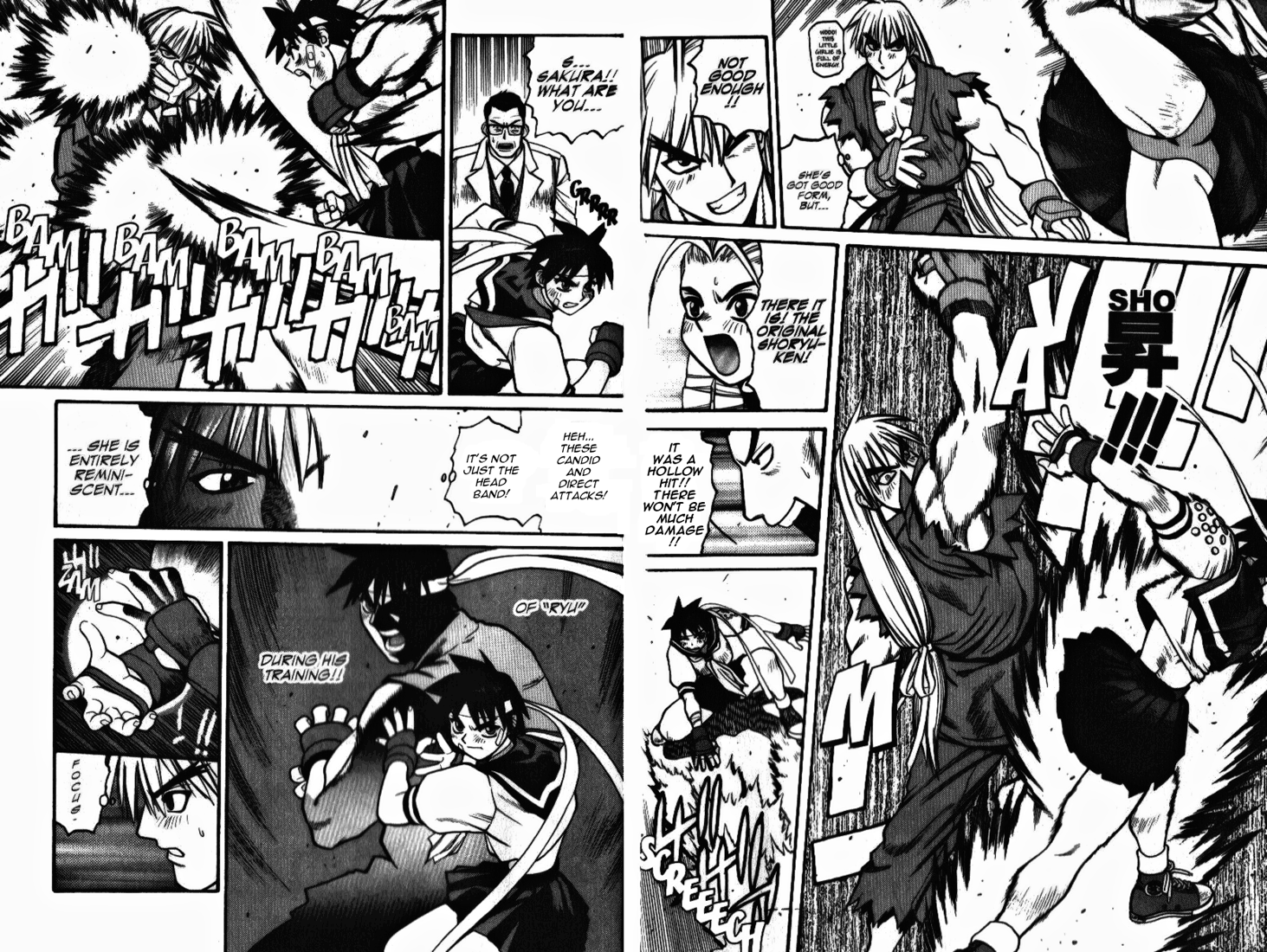 Street Fighter ALPHA 2: Sakura Will Do Her Best! Before Stepping Out Into the World - Part 3 第13页