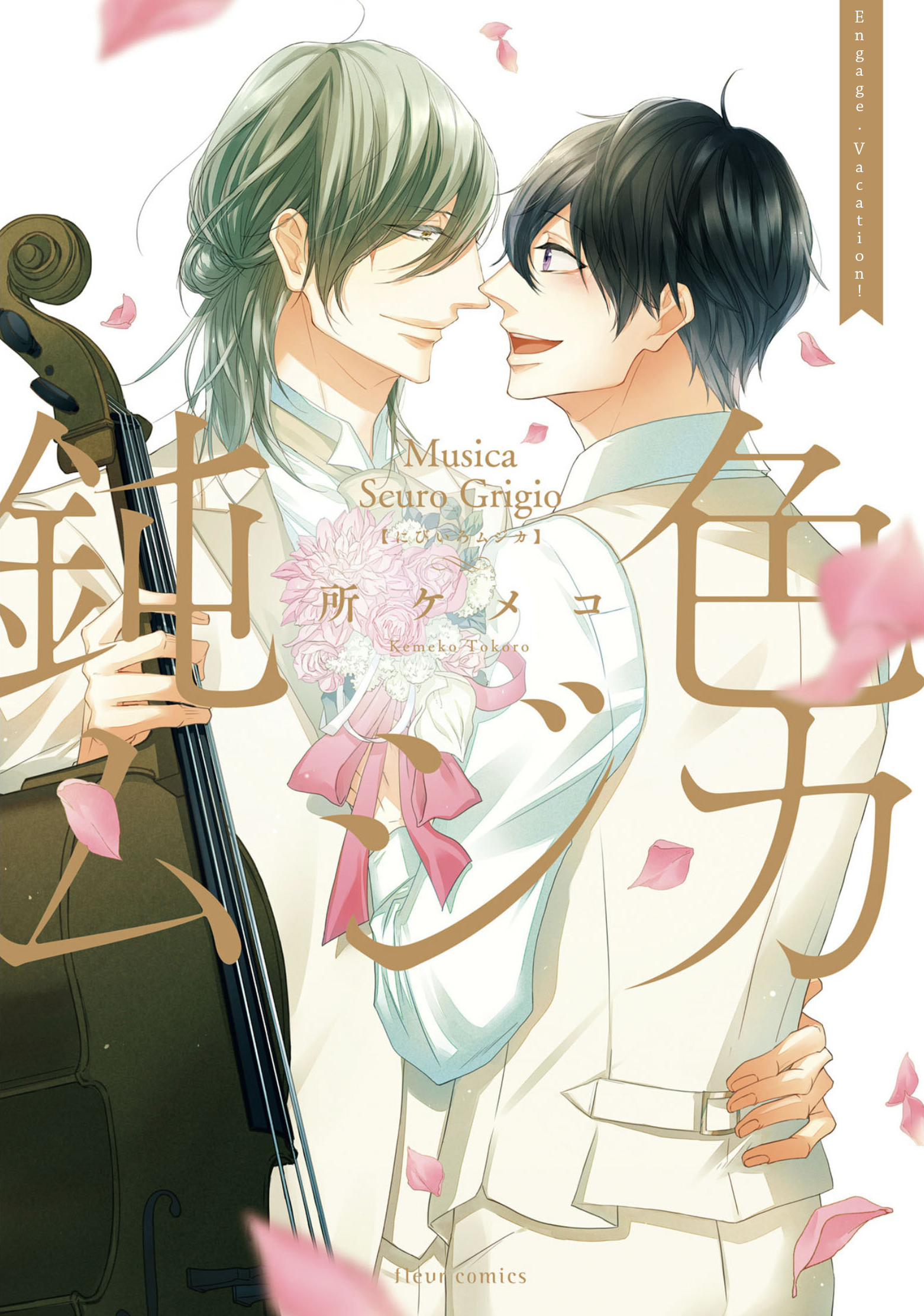 Nibiiro Musica Surprise Vacation! 第2页