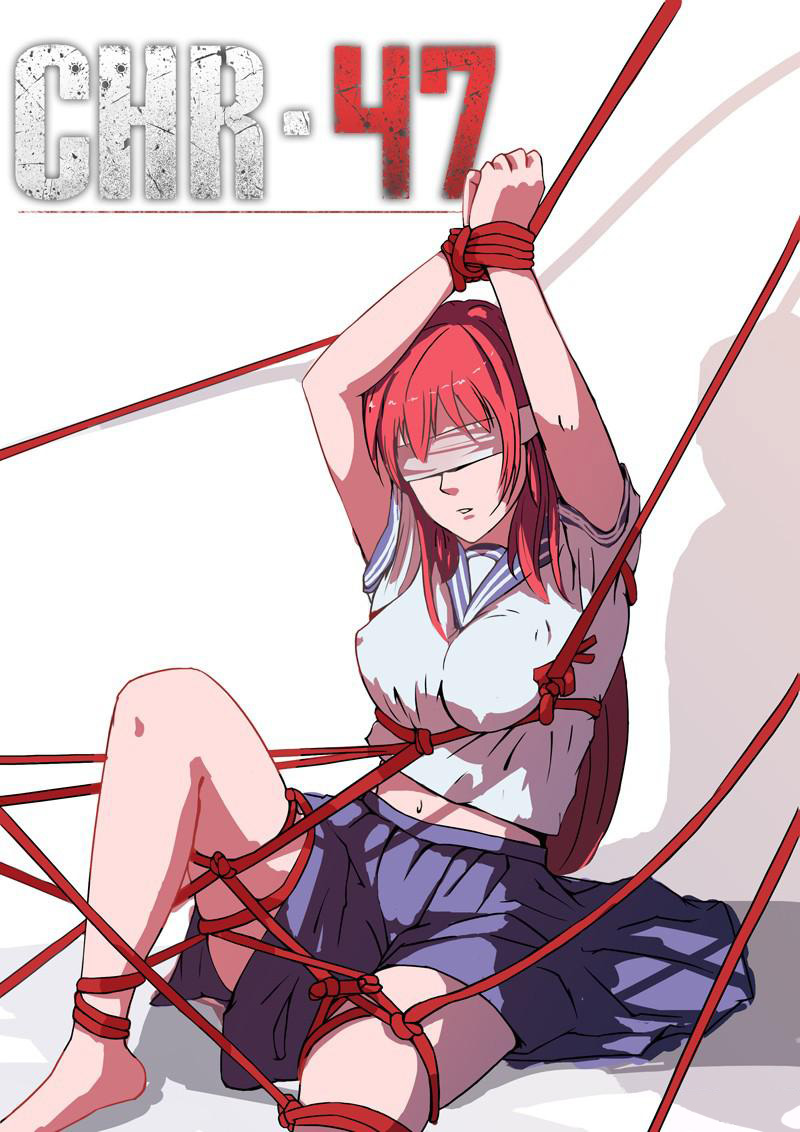 CHR-47 第1页