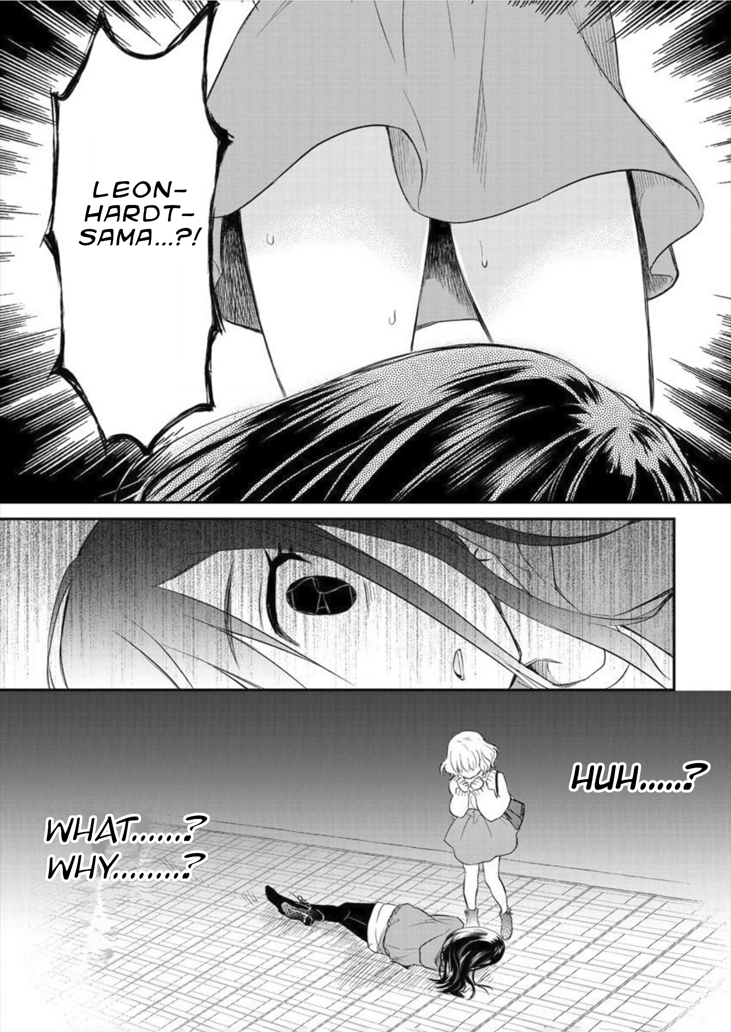 Leonhardt-sama Is A Girl Unexpected Low-angle. 第17页