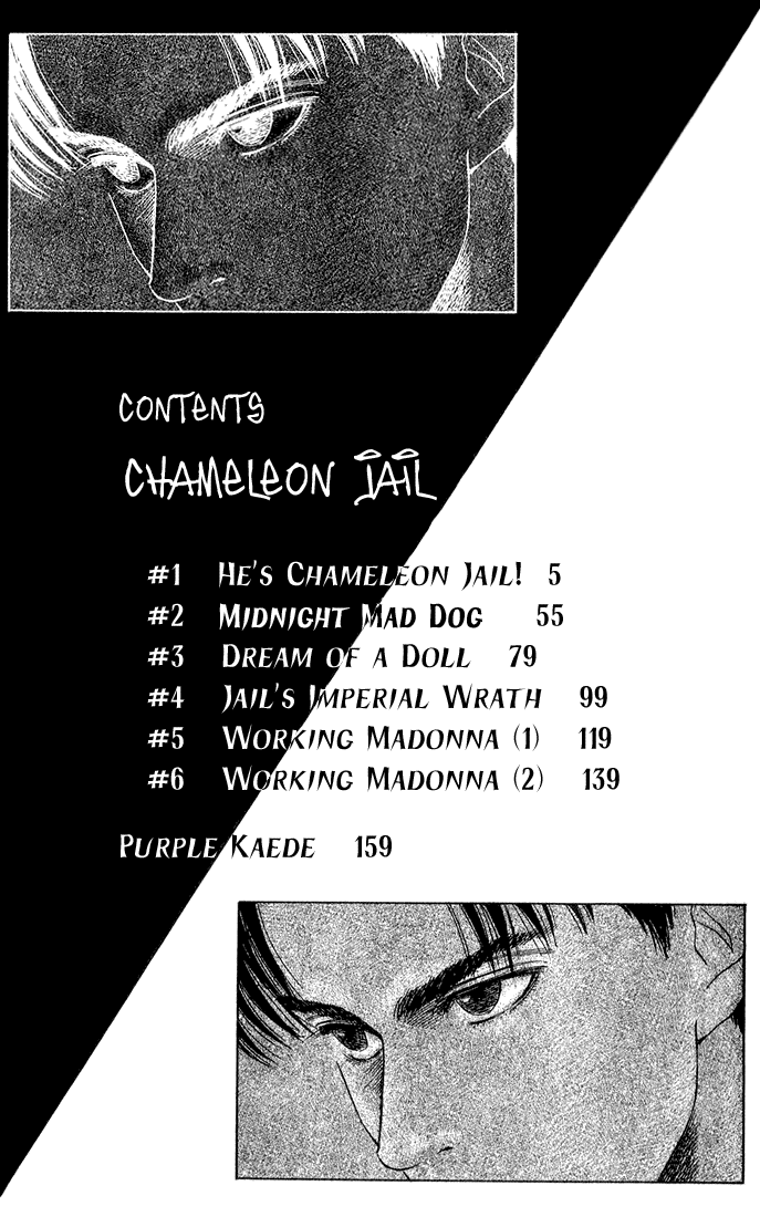 Chameleon Jail 第2页