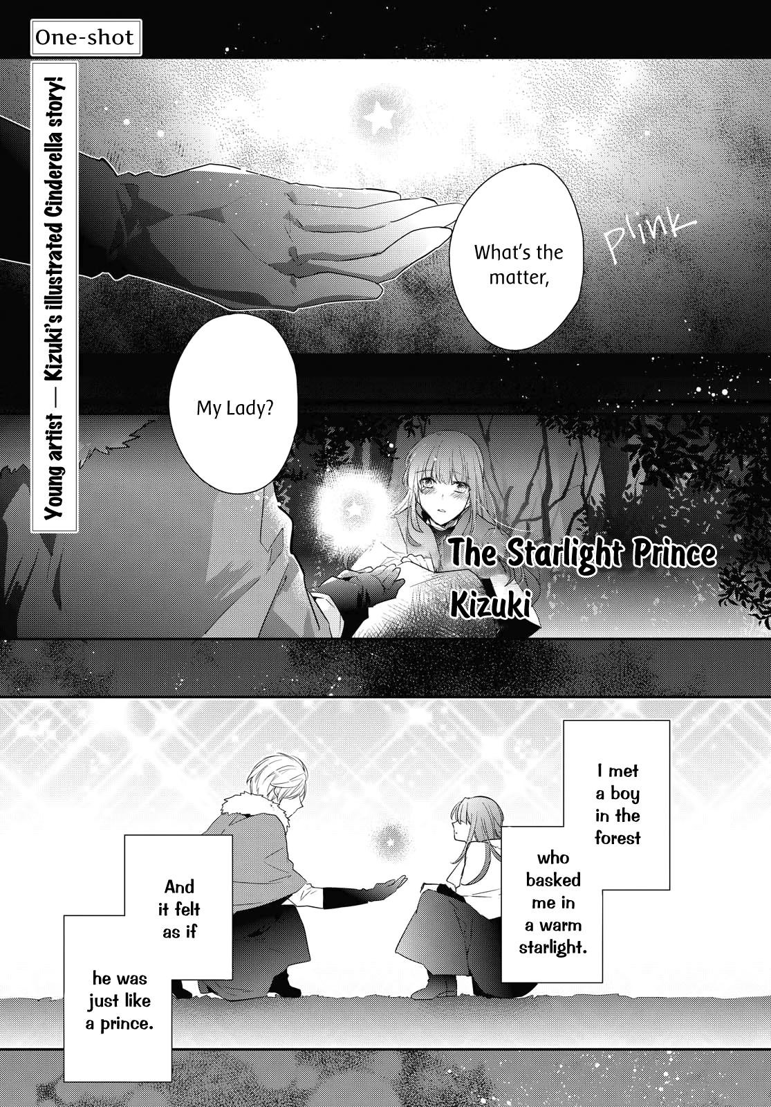 The Starlight Prince 第3页