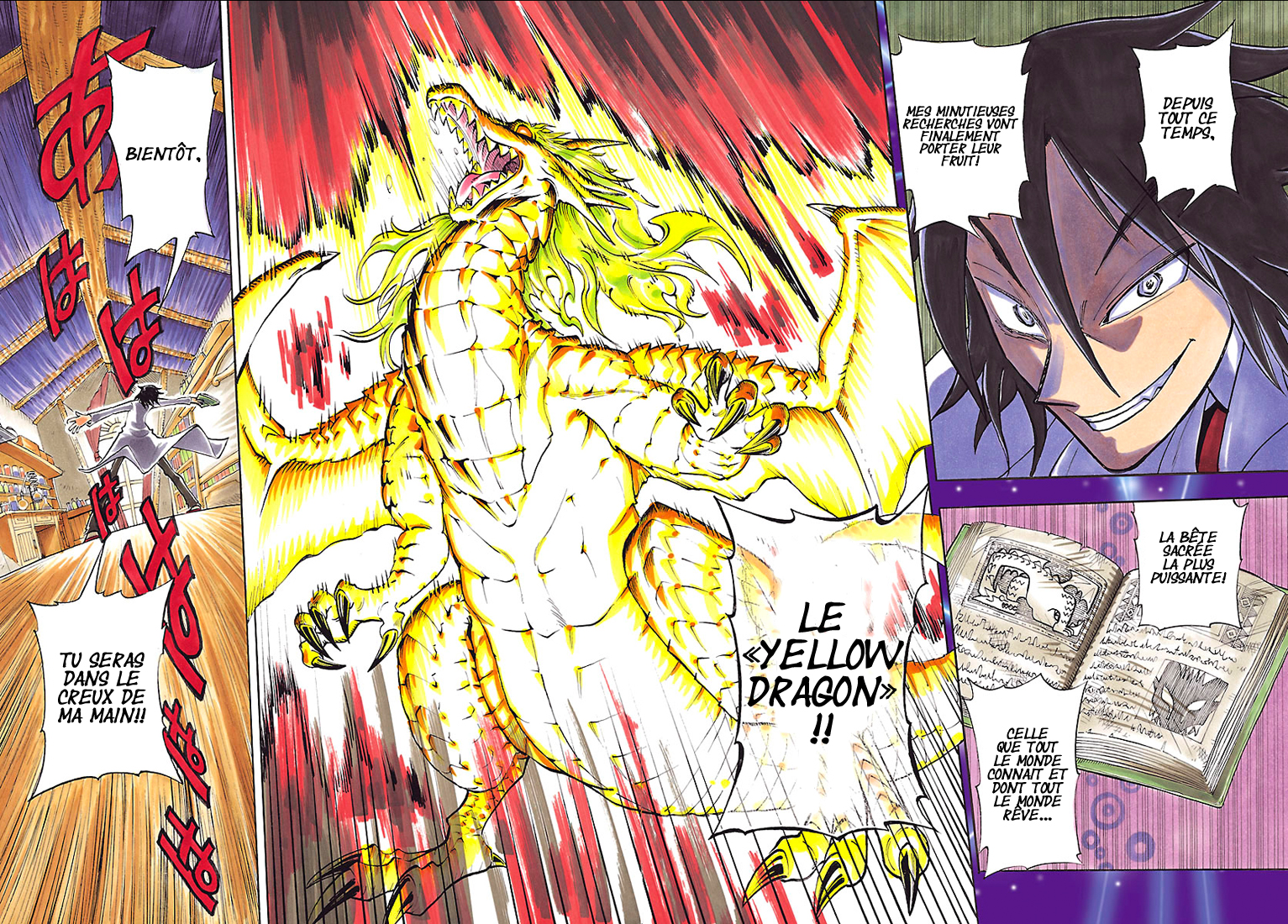 Appearance of the Yellow Dragon! Kimidori entre en scène ! 第3页