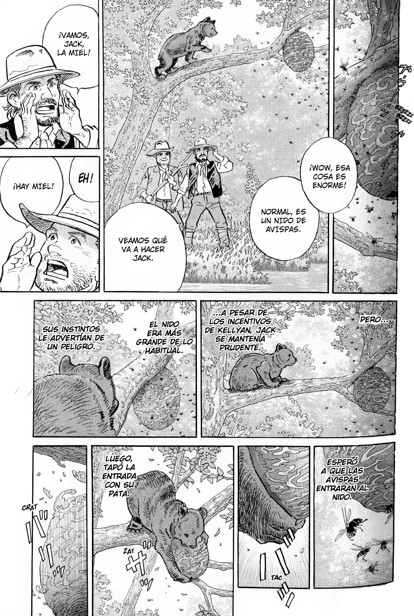 Seton El curso de la vida 第11页