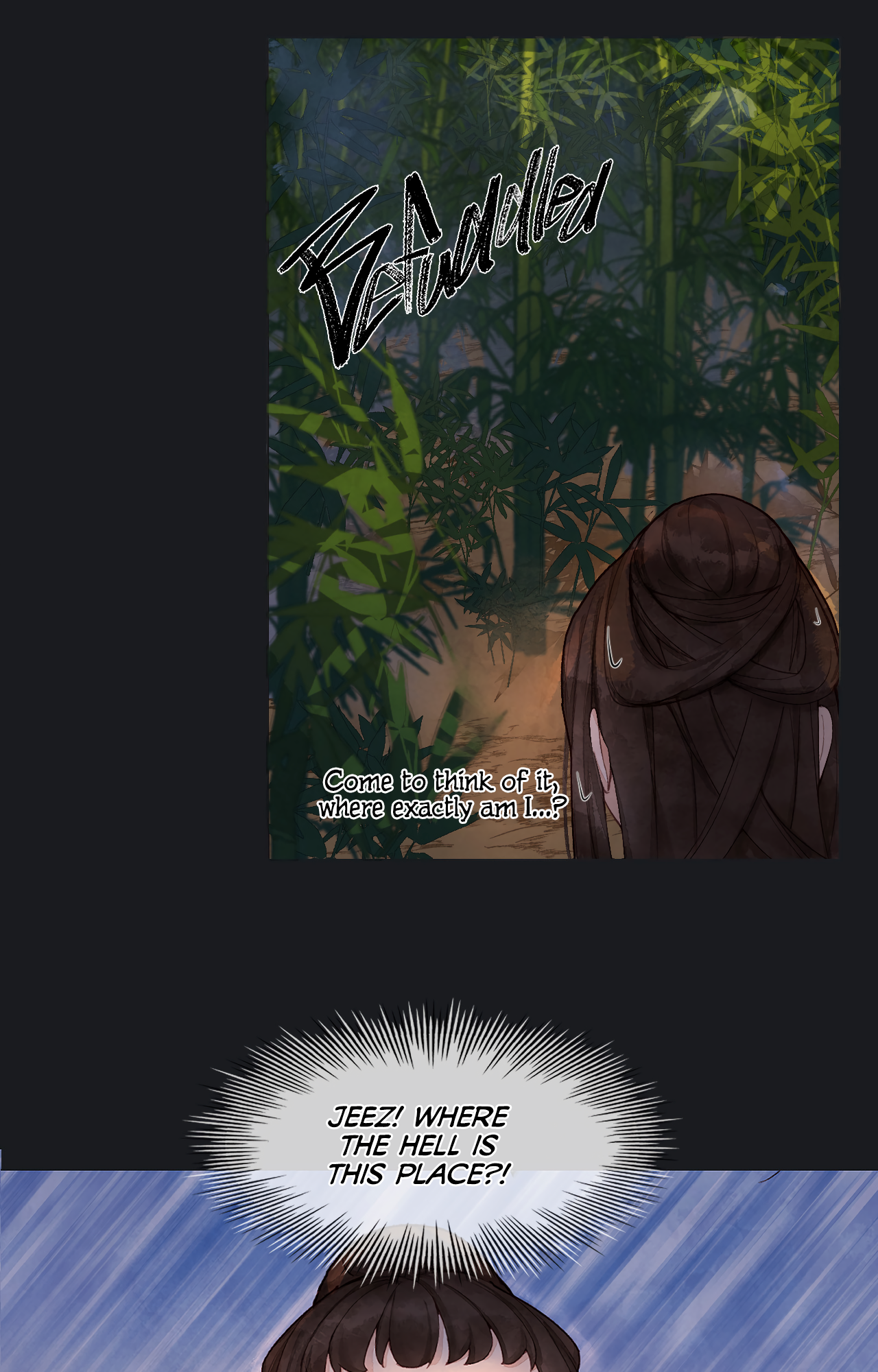 Hibiscus and Bamboo First Meeting 第10页