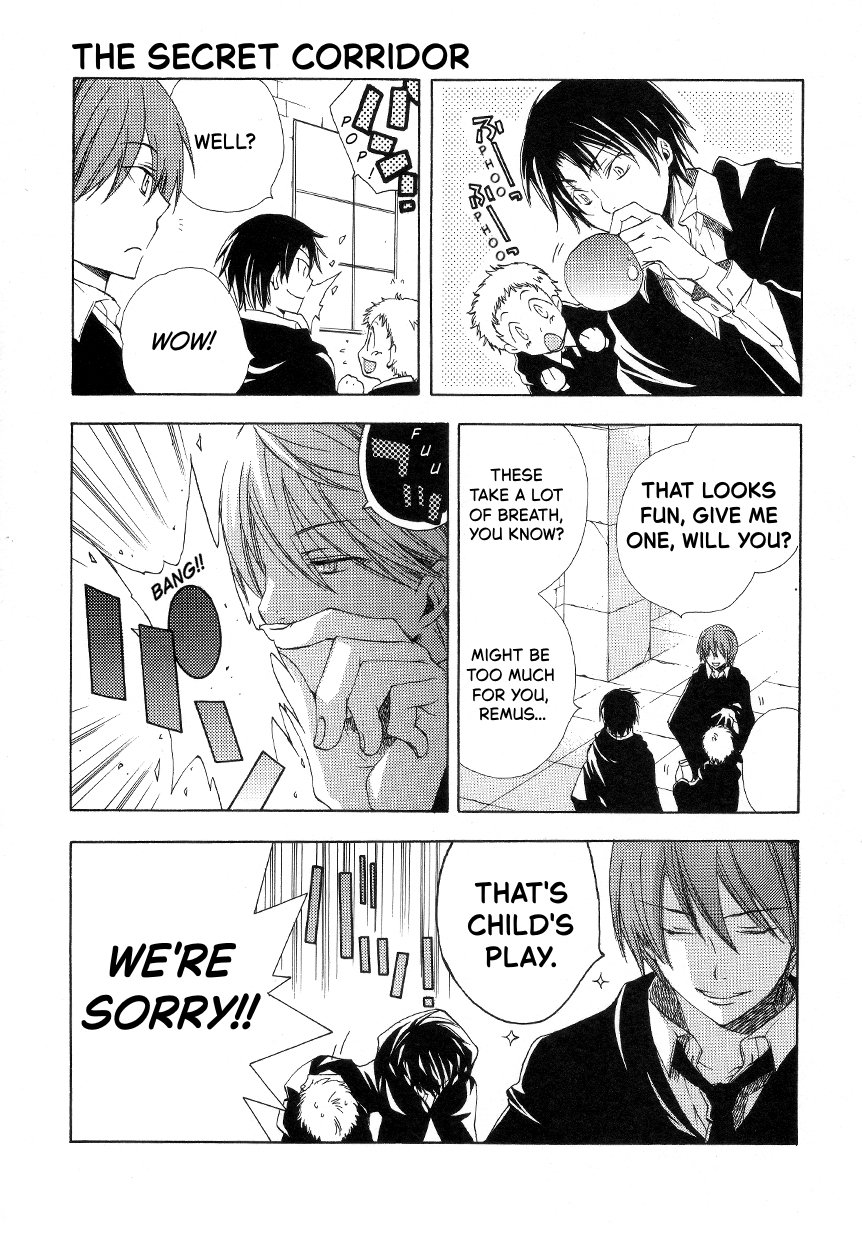 Harry Potter - The World (Doujinshi) Mission in Pensieve 第29页