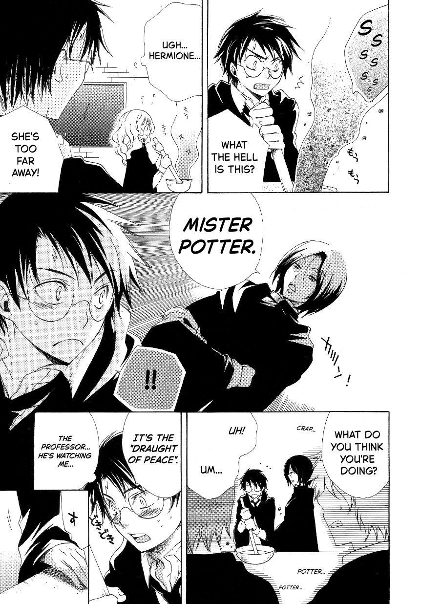 Harry Potter - The World (Doujinshi) Mission in Pensieve 第9页