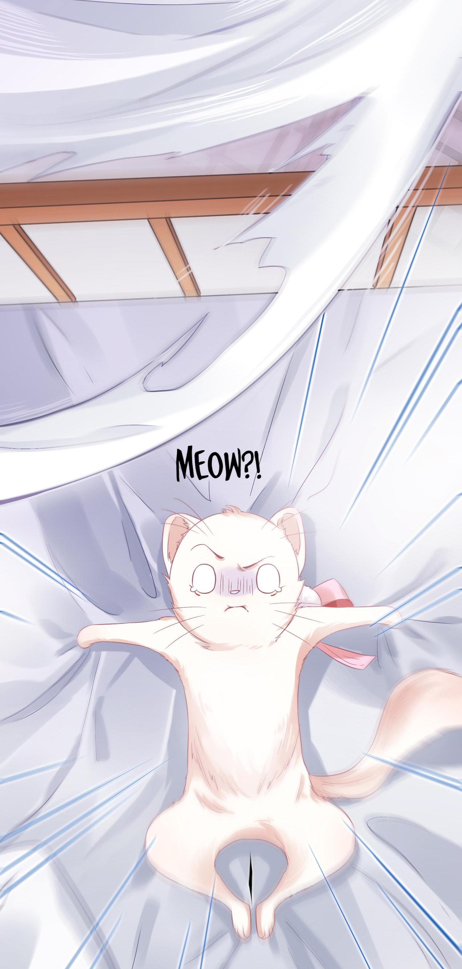 Raise A Mink As My Wife A Fiercer Revenge 第4页