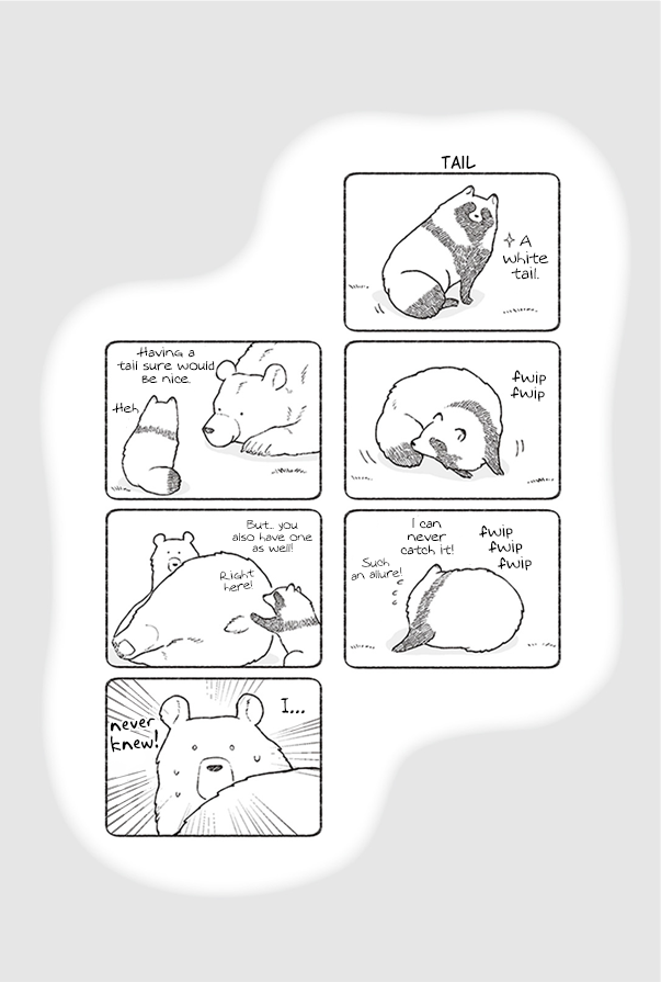 Bear and Tanuki Bear and Tanuki's Spring 第36页