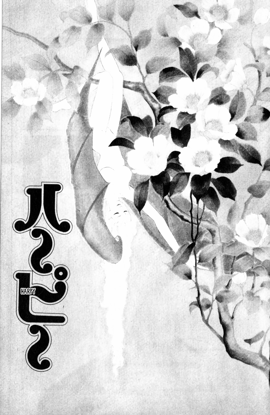 Harpy 第6页