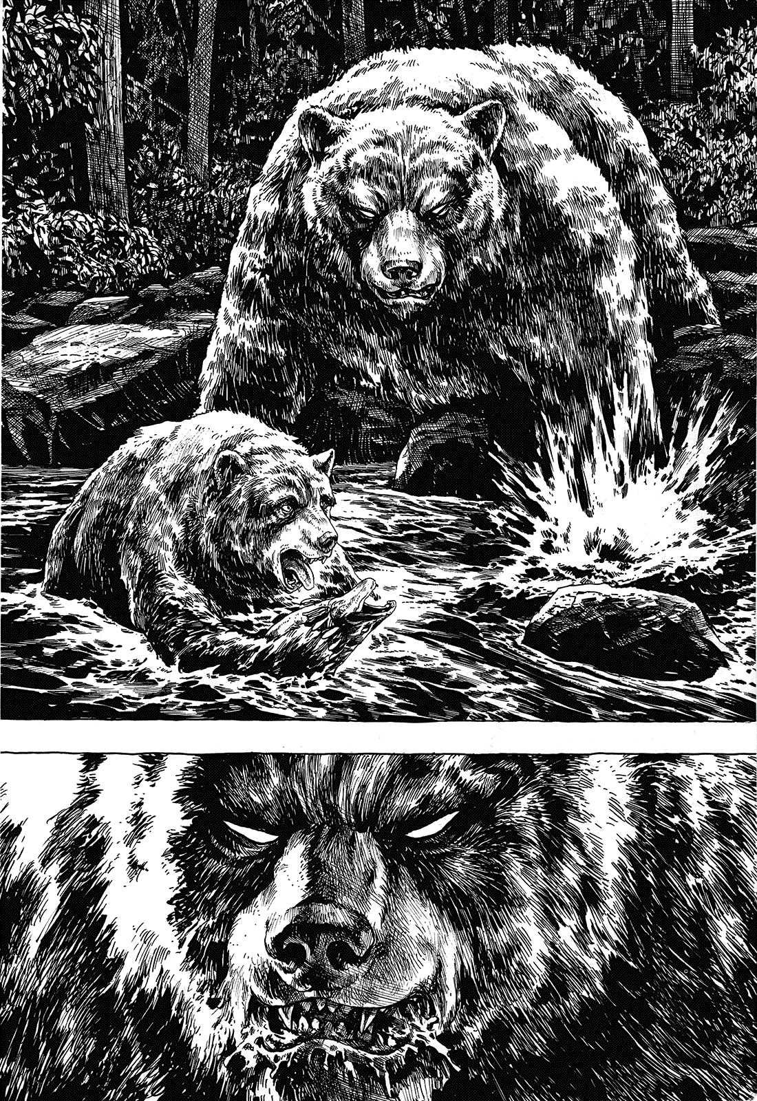 Gon Ch. 1: Gon só Come e Dorme 第14页