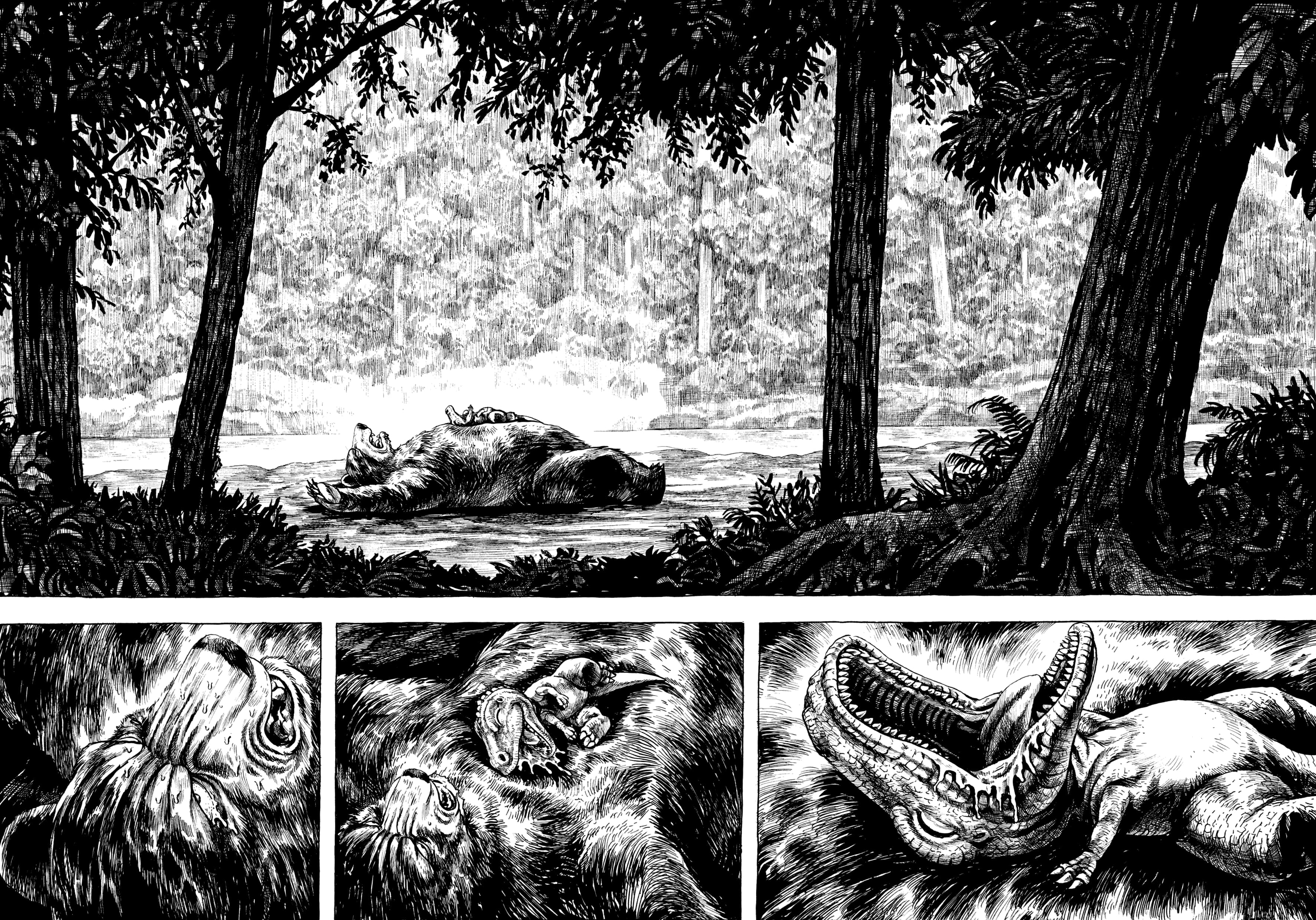 Gon Ch. 1: Gon só Come e Dorme 第35页