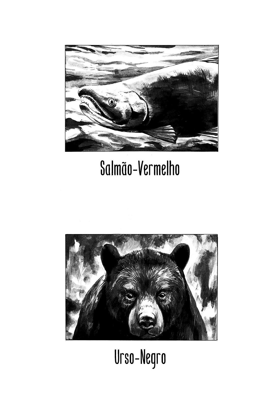 Gon Ch. 1: Gon só Come e Dorme 第37页