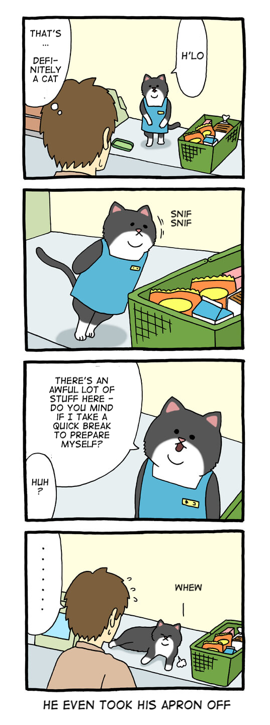 Register Cat 第2页