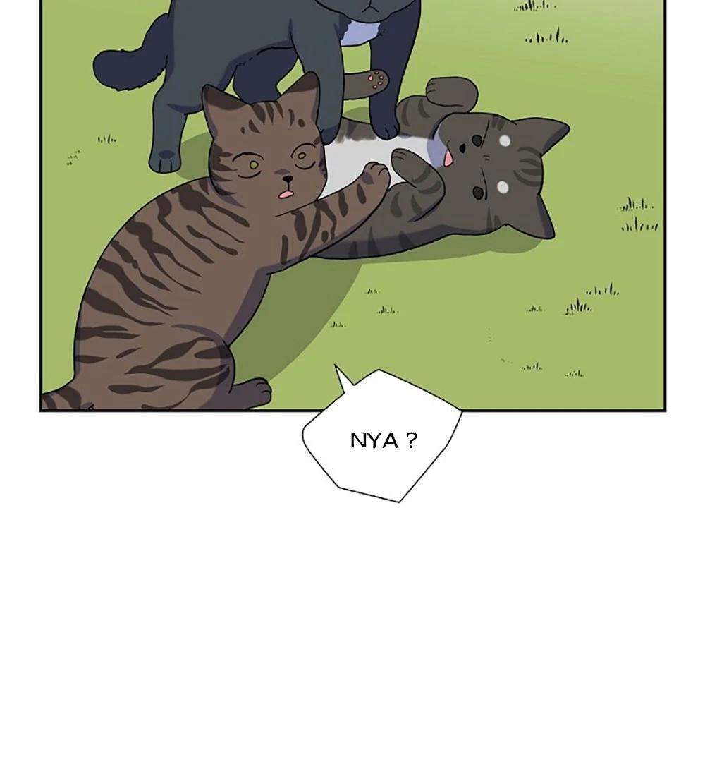 Re:meet Ch. 3 第55页