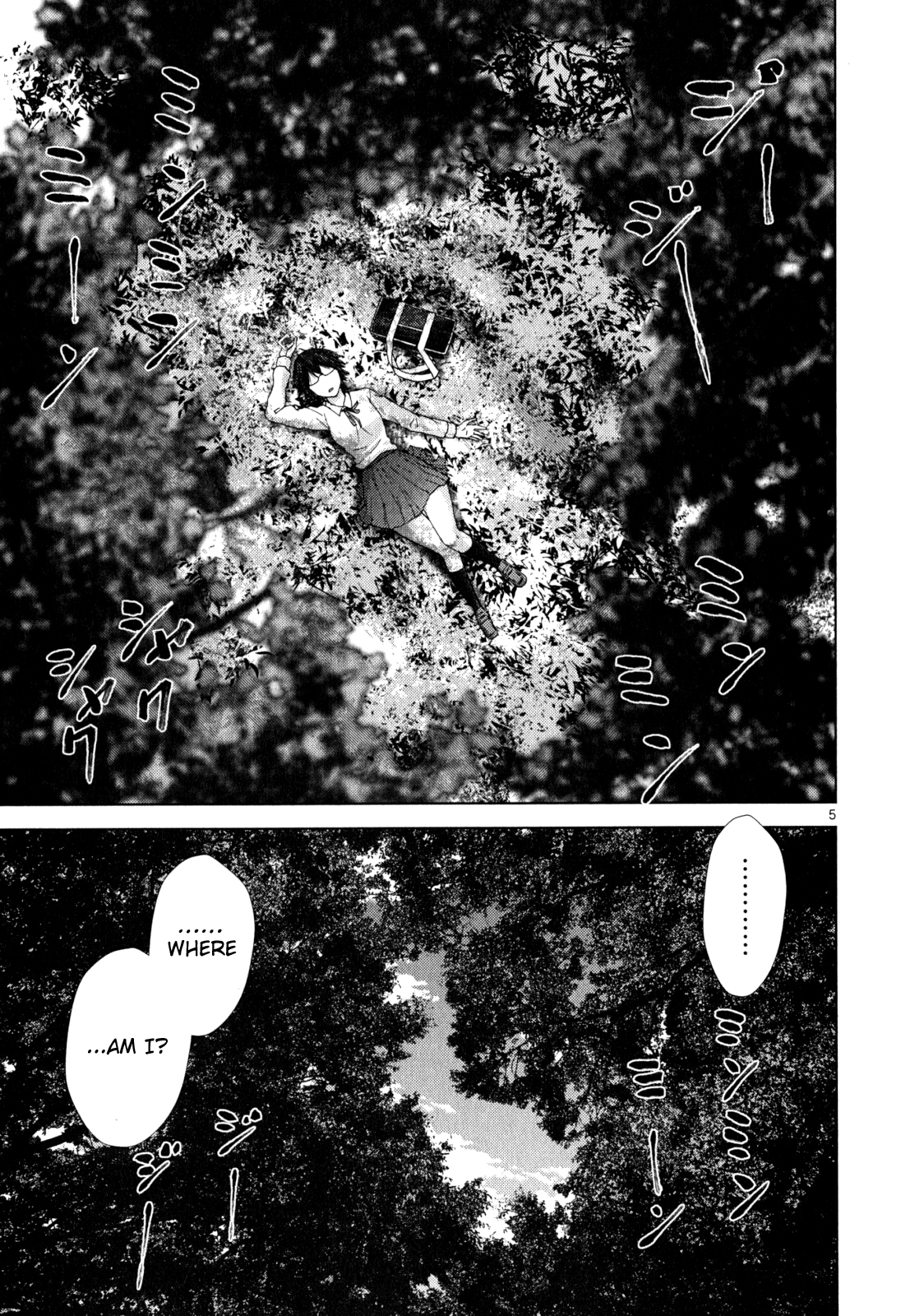 Alice on Border Road 第8页
