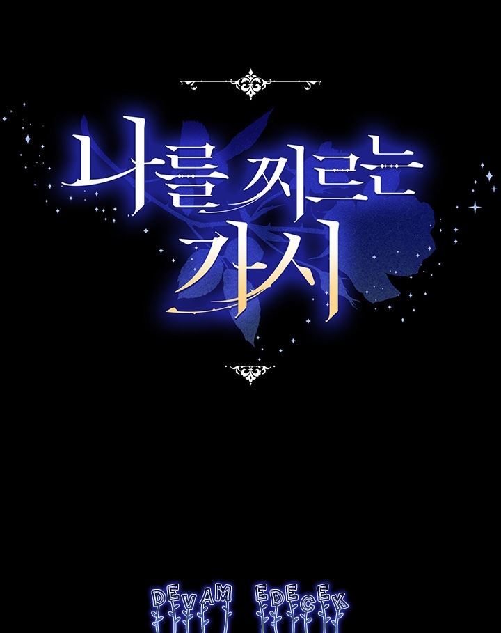 The Thorn That Pierces Me Ch. 4 第71页