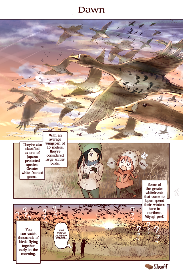 Torimibu no Takanashi-san 第2页
